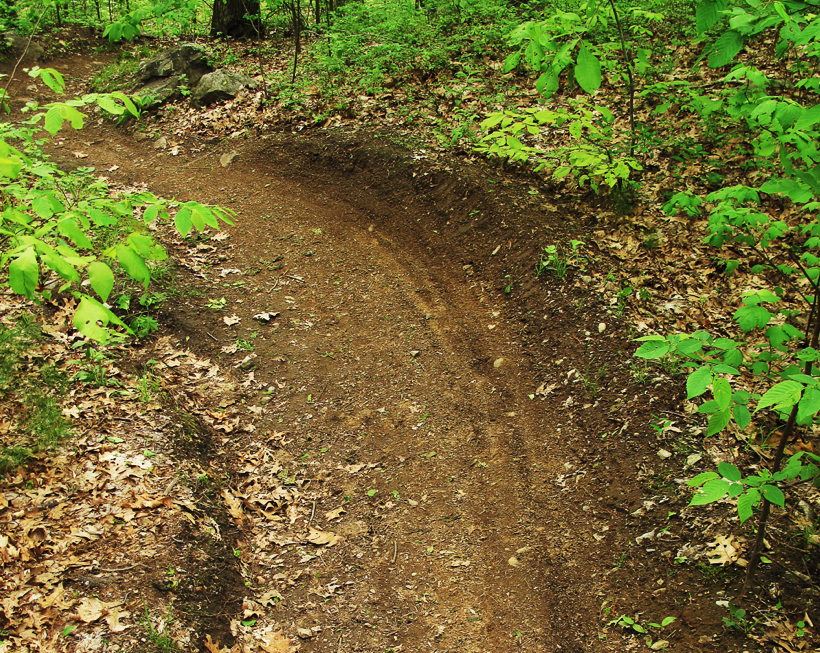 interior Reducing rogue trails for wildlife banner image