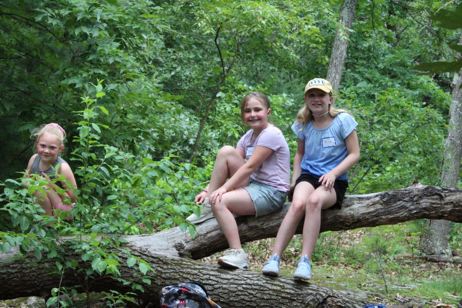 interior New programs grow with campers’ curiosity this summer banner image